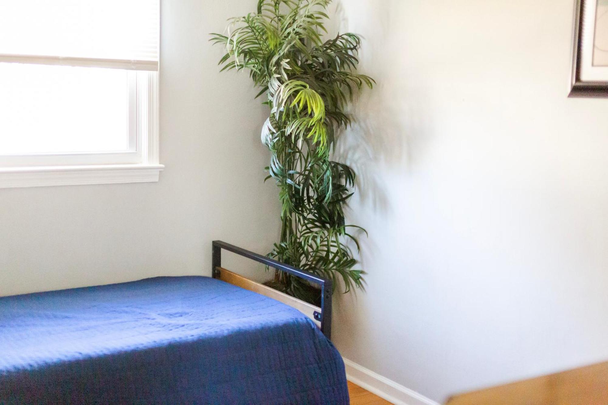 Fantastic 3Br Close To Botanical Gardens And Airport 罗福 外观 照片