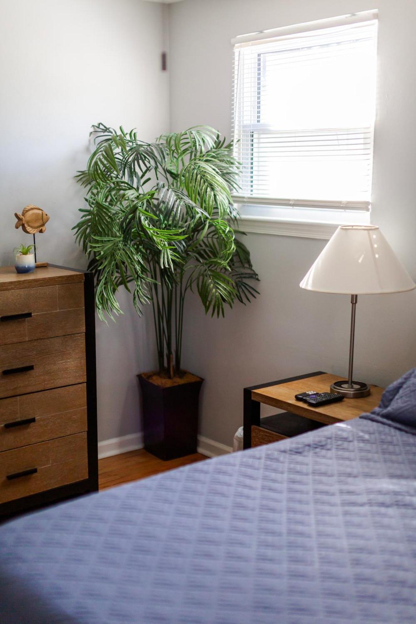 Fantastic 3Br Close To Botanical Gardens And Airport 罗福 外观 照片